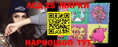 ПСИЛОЦИБИНОВЫЕ ГРИБЫ Краснодар